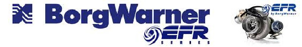 BorgWarner